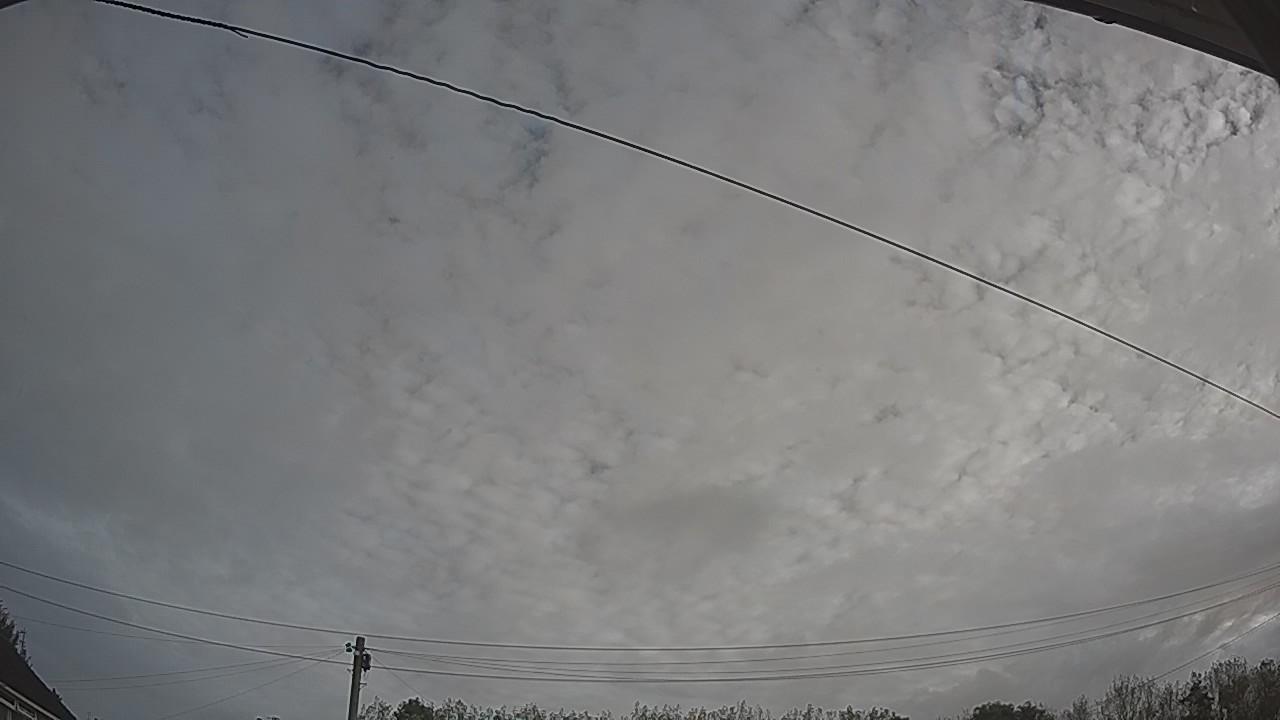 20261006_081000_cam2.jpg