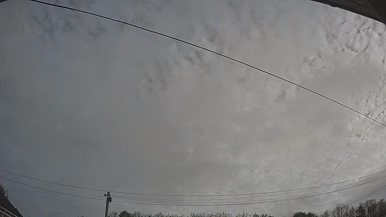 20261006_081436_cam2.jpg
