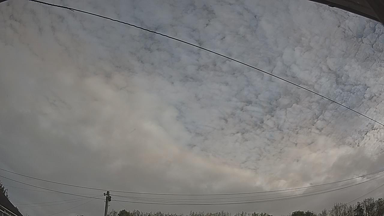 20261006_084126_cam2.jpg