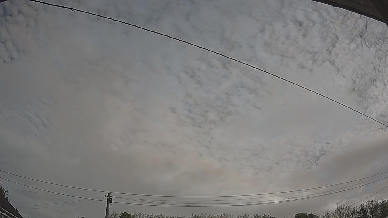20261006_084544_cam2.jpg