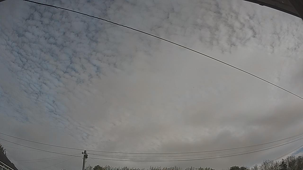 20261006_085106_cam2.jpg