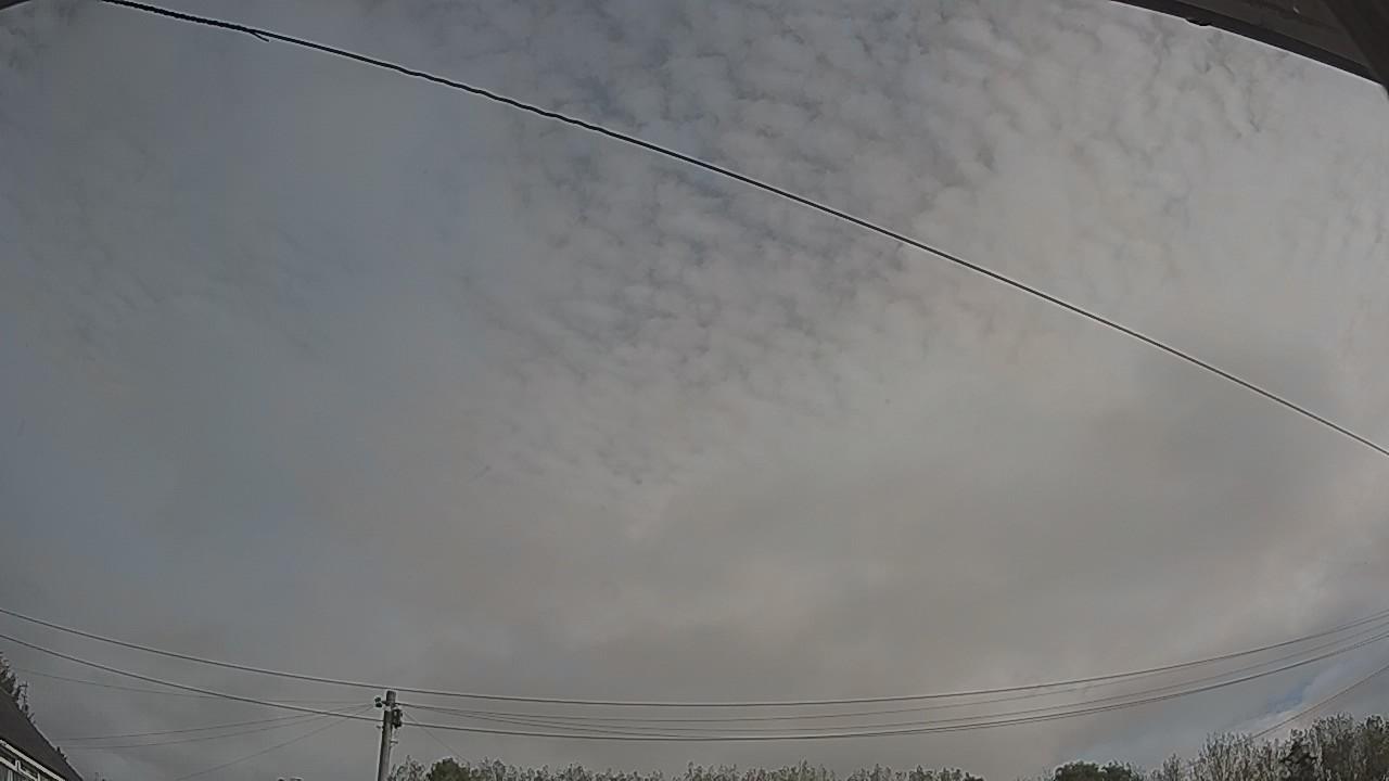 20261006_085526_cam2.jpg