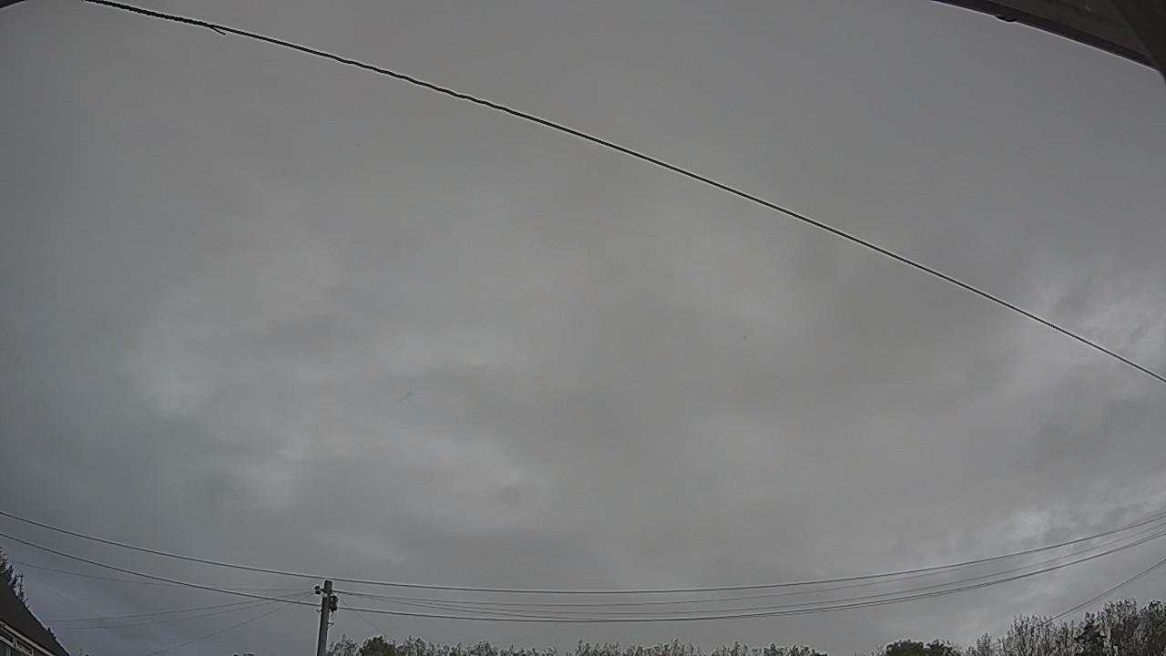 20261006_101549_cam2.jpg