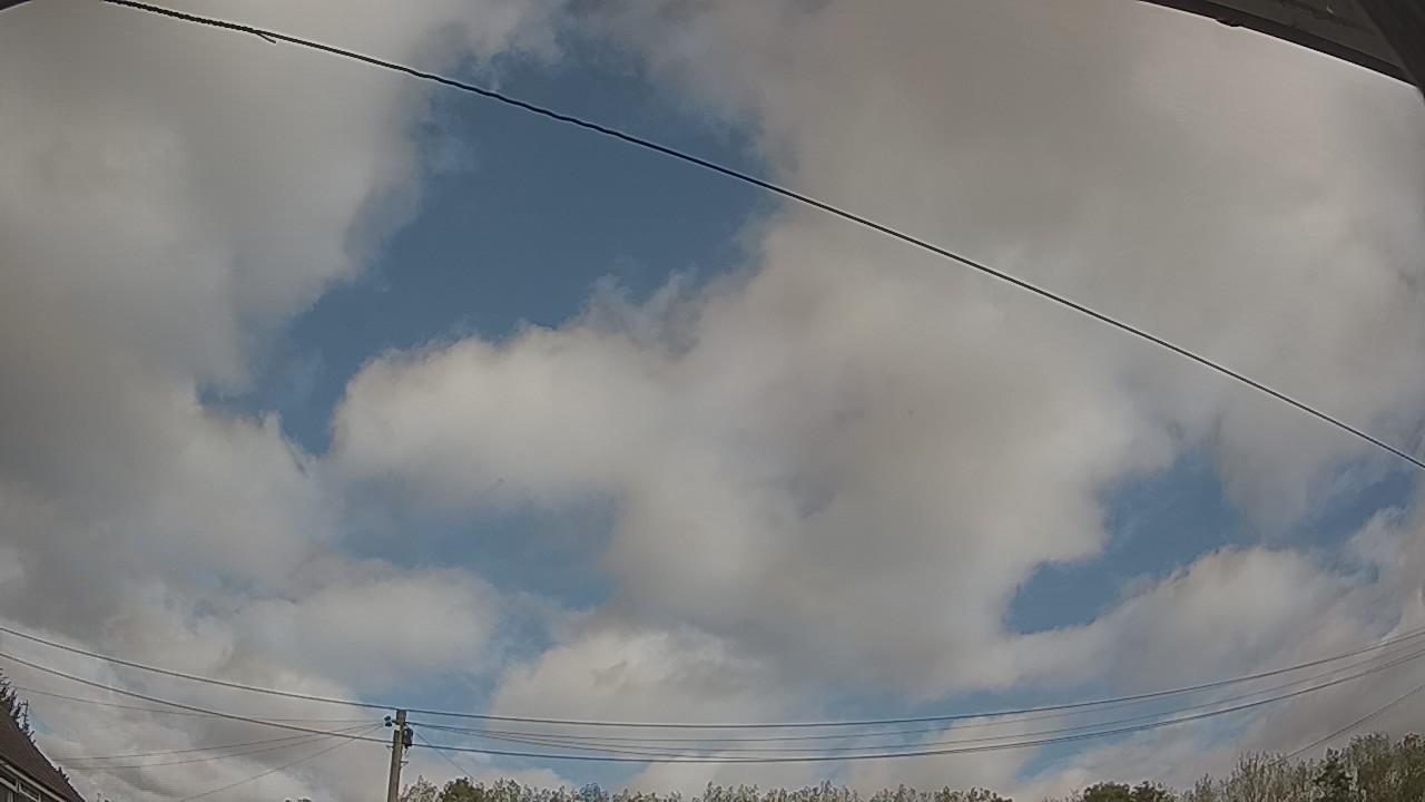20261006_113019_cam2.jpg