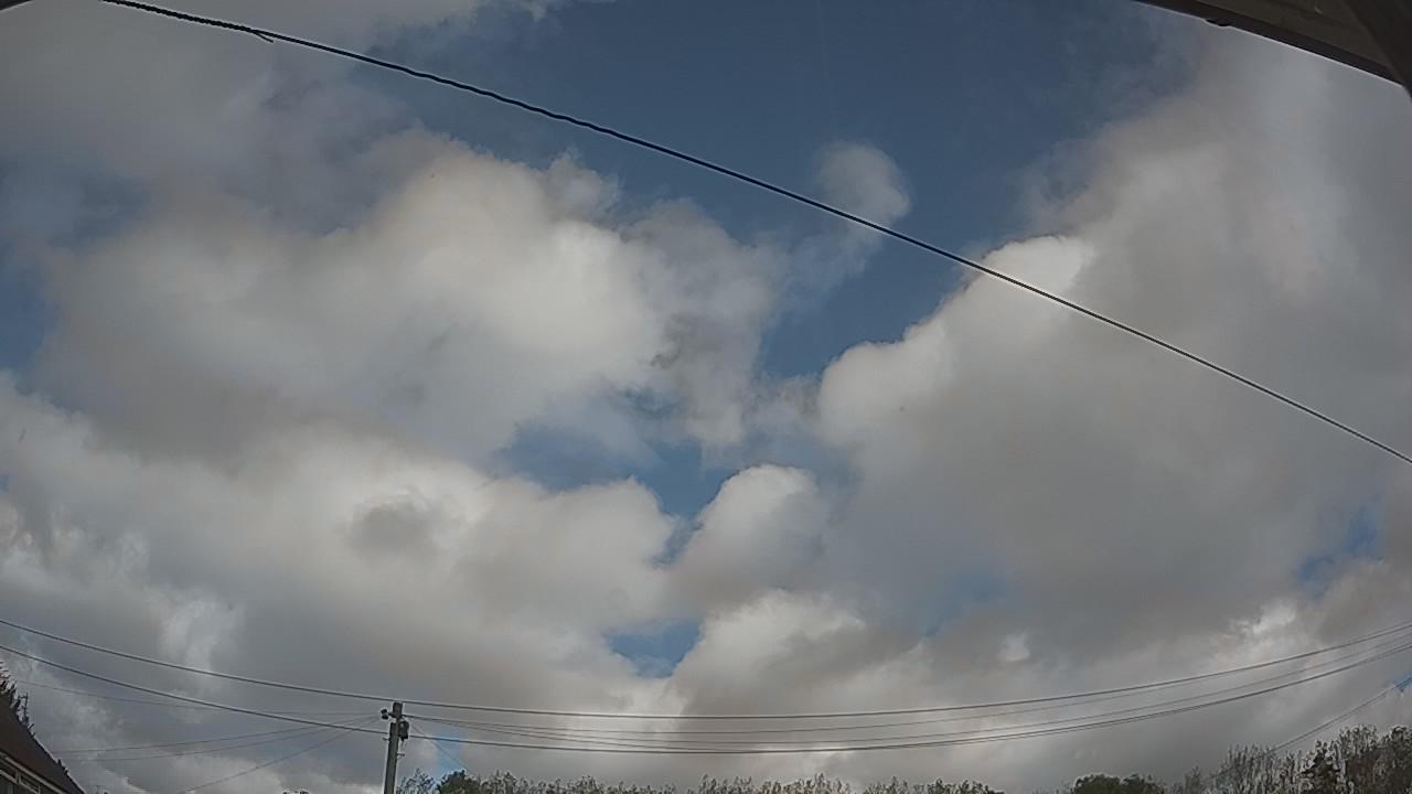 20261006_115813_cam2.jpg
