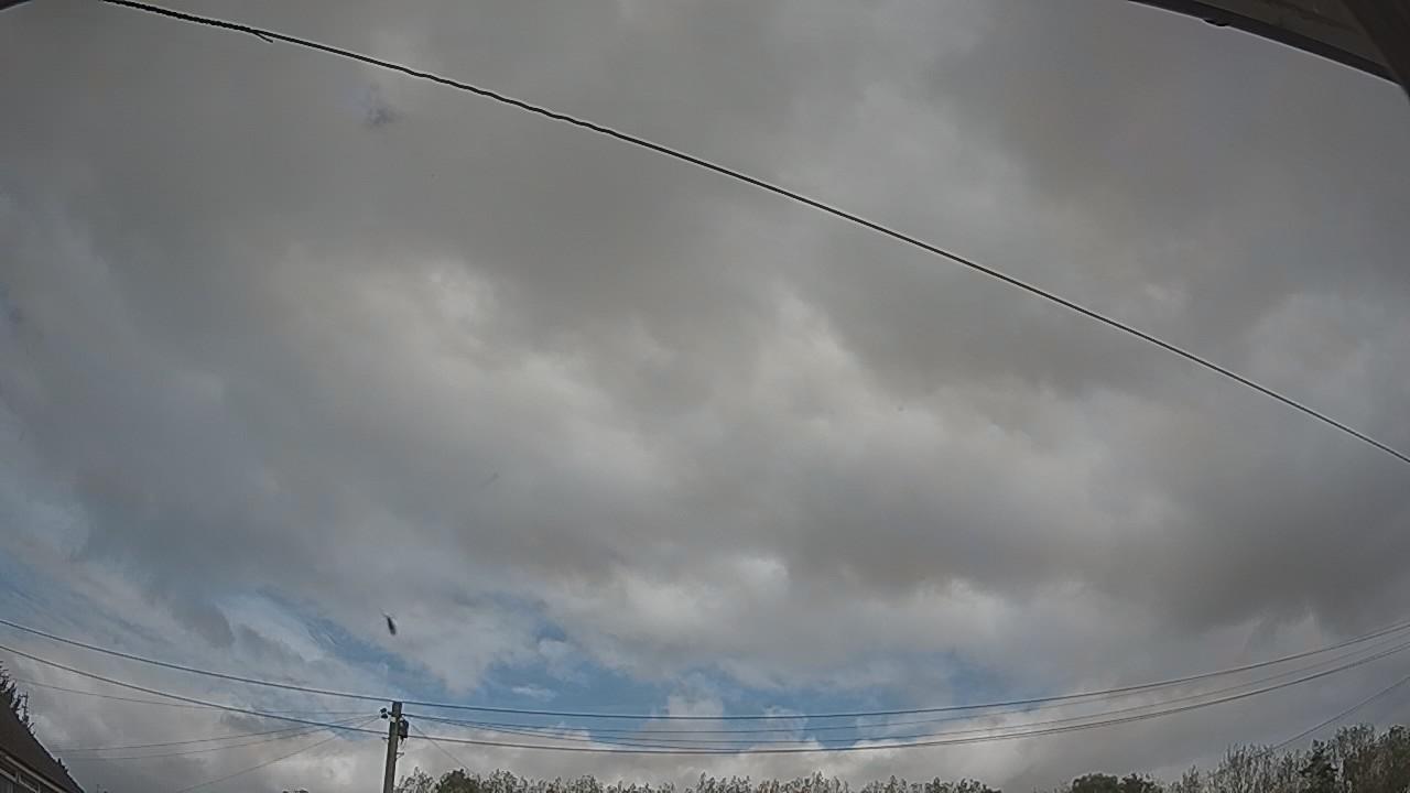 20261006_124259_cam2.jpg
