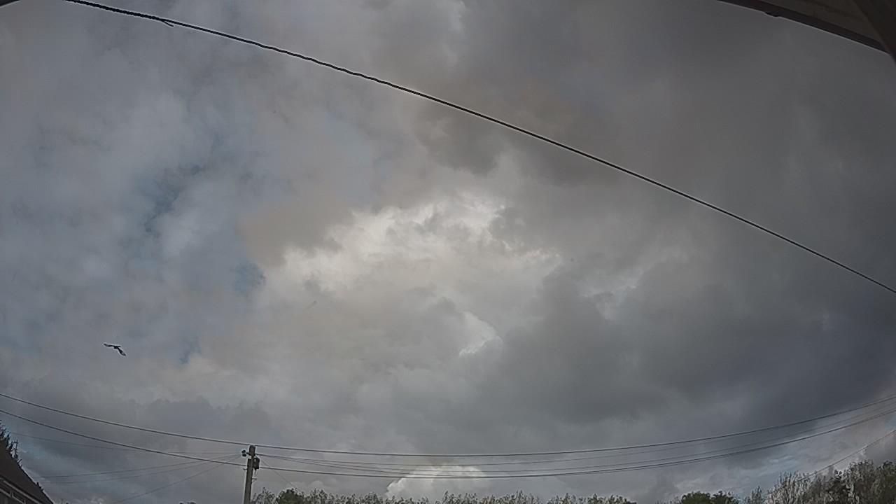 20261006_143901_cam2.jpg