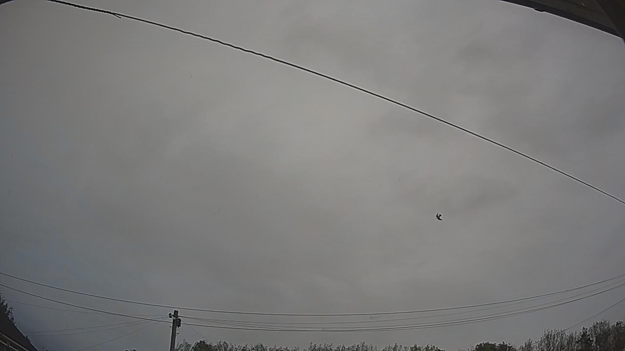 20261007_075858_cam2.jpg