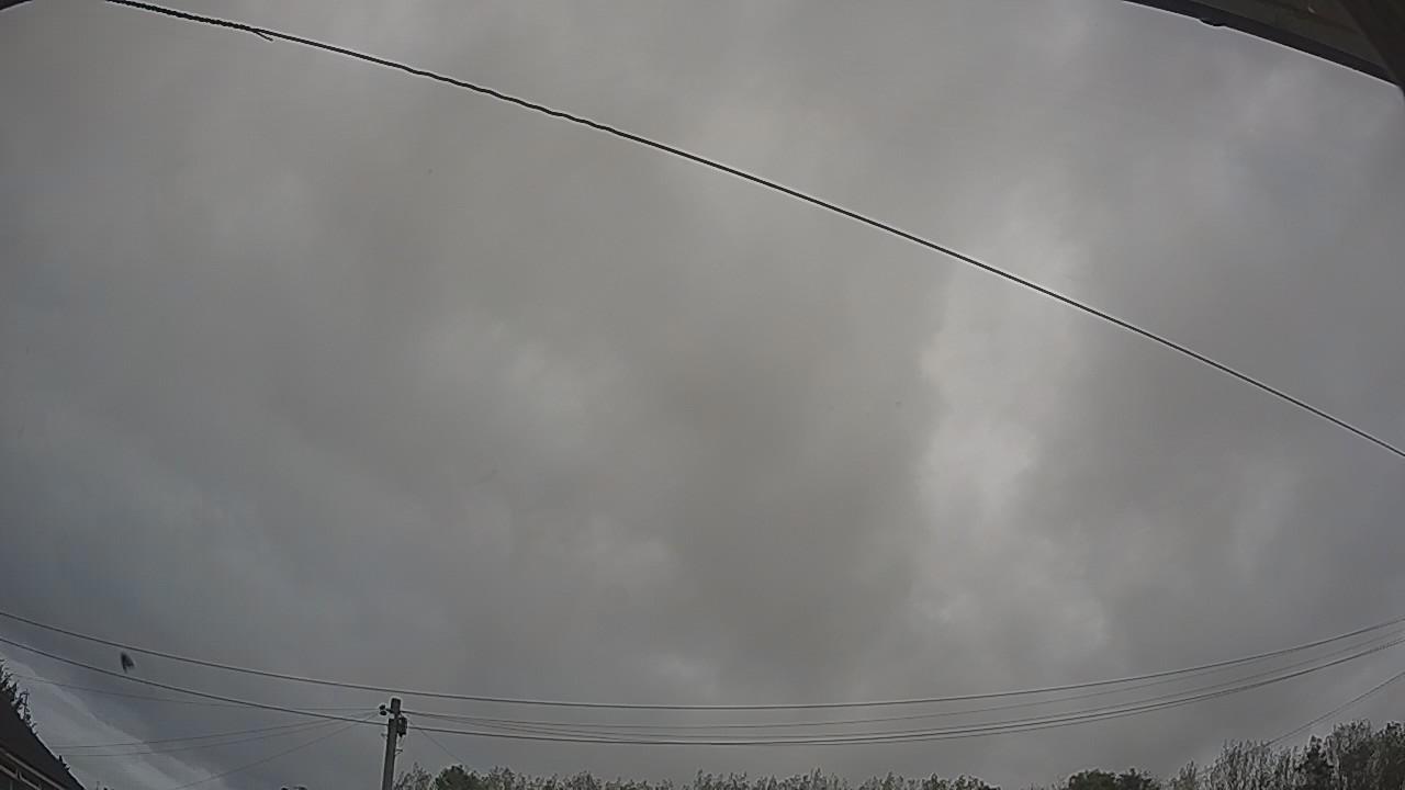 20261007_084258_cam2.jpg