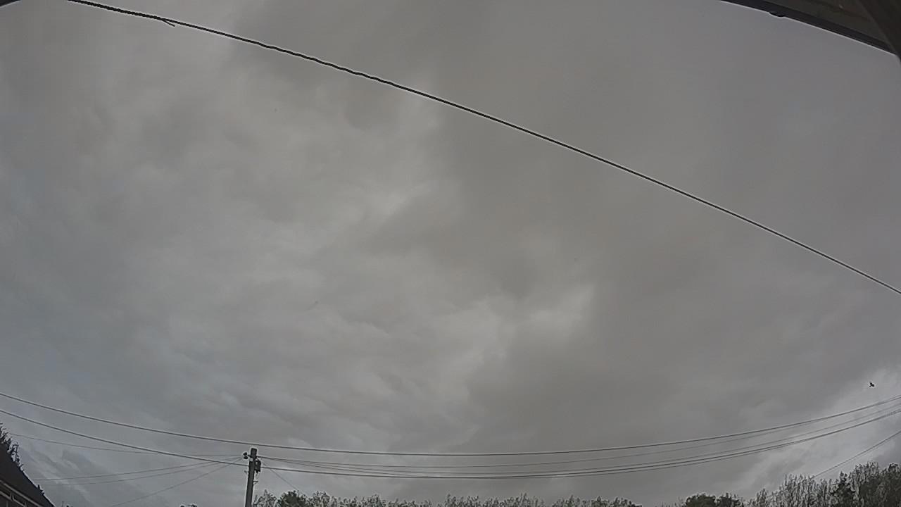 20261007_085058_cam2.jpg