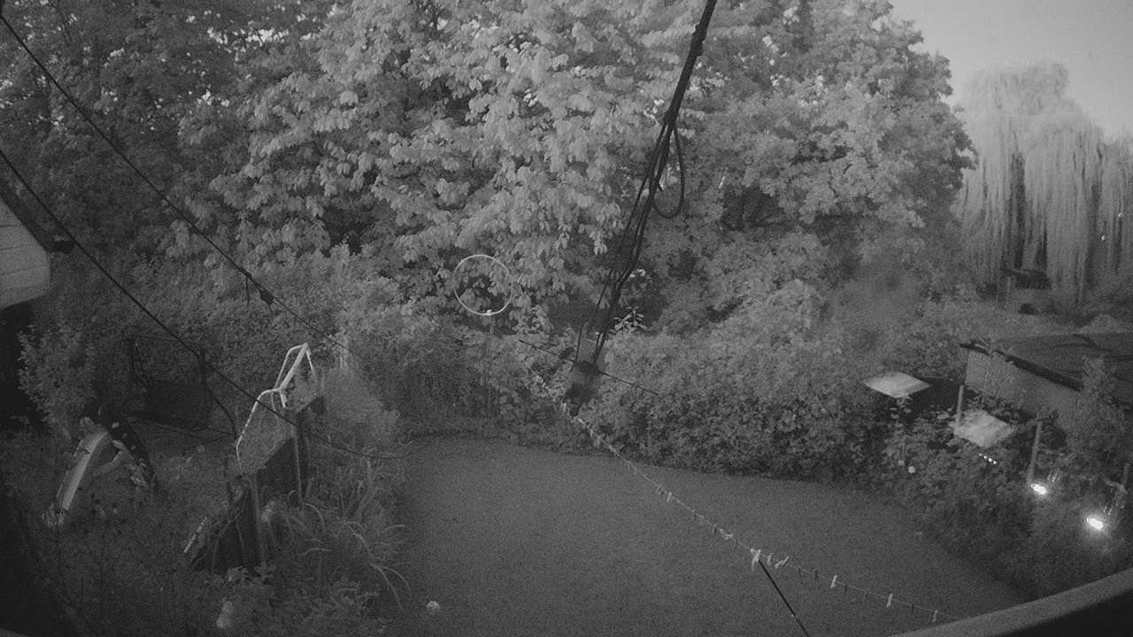 20261008_055102_cam1.jpg