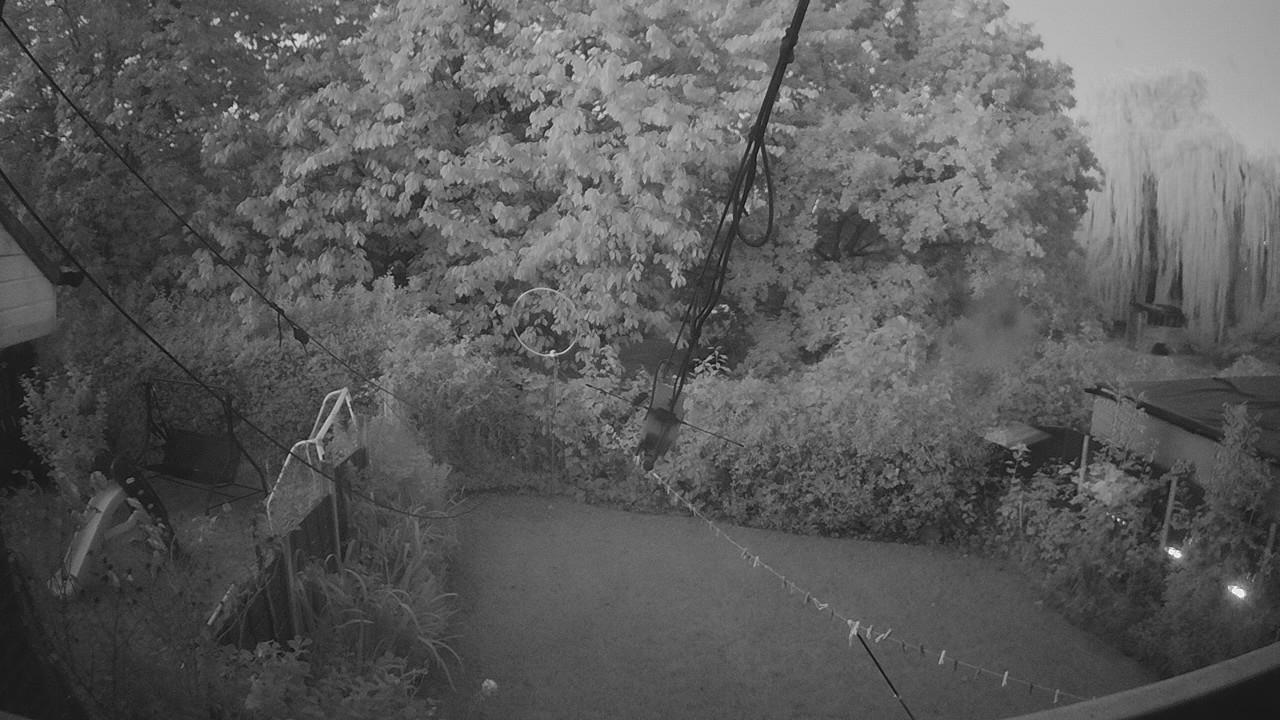 20261008_055547_cam1.jpg