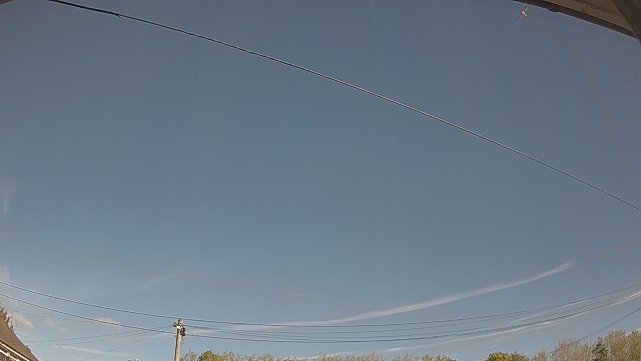 20261008_102047_cam2.jpg