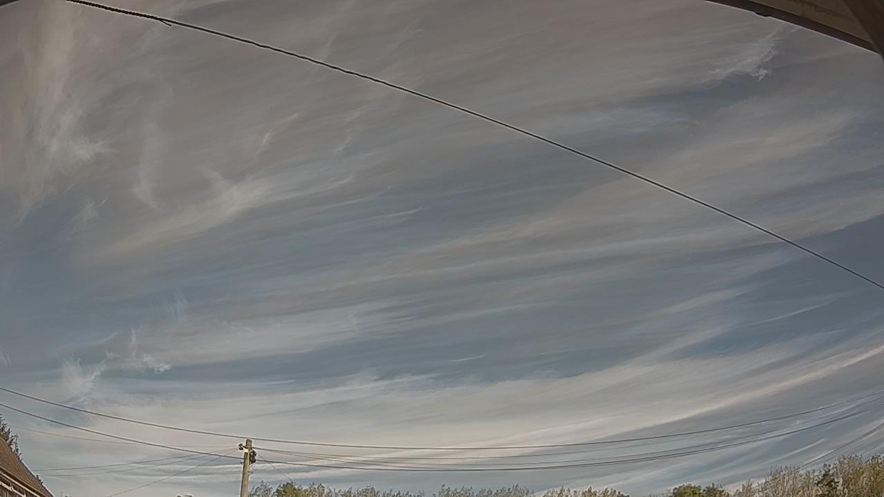 20261008_110228_cam2.jpg