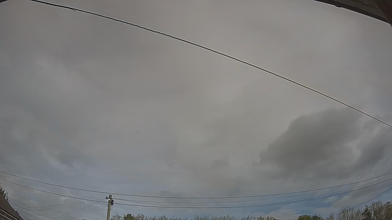 20261008_115413_cam2.jpg