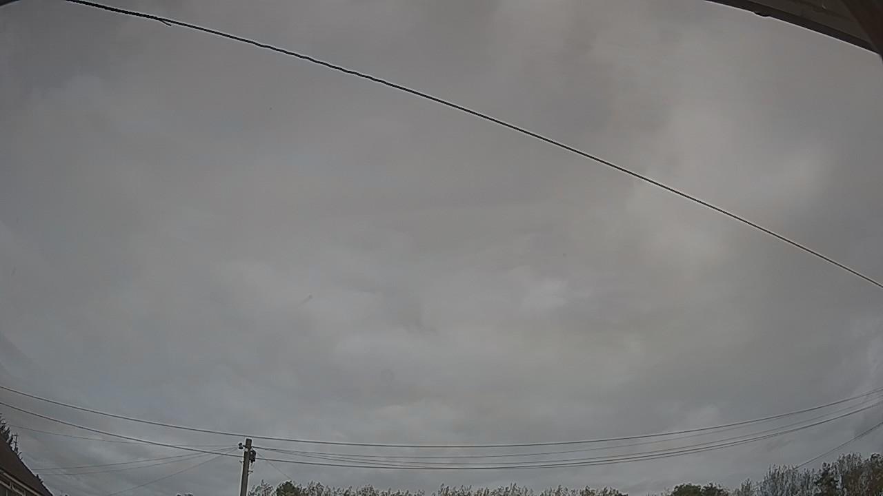 20261008_120155_cam2.jpg