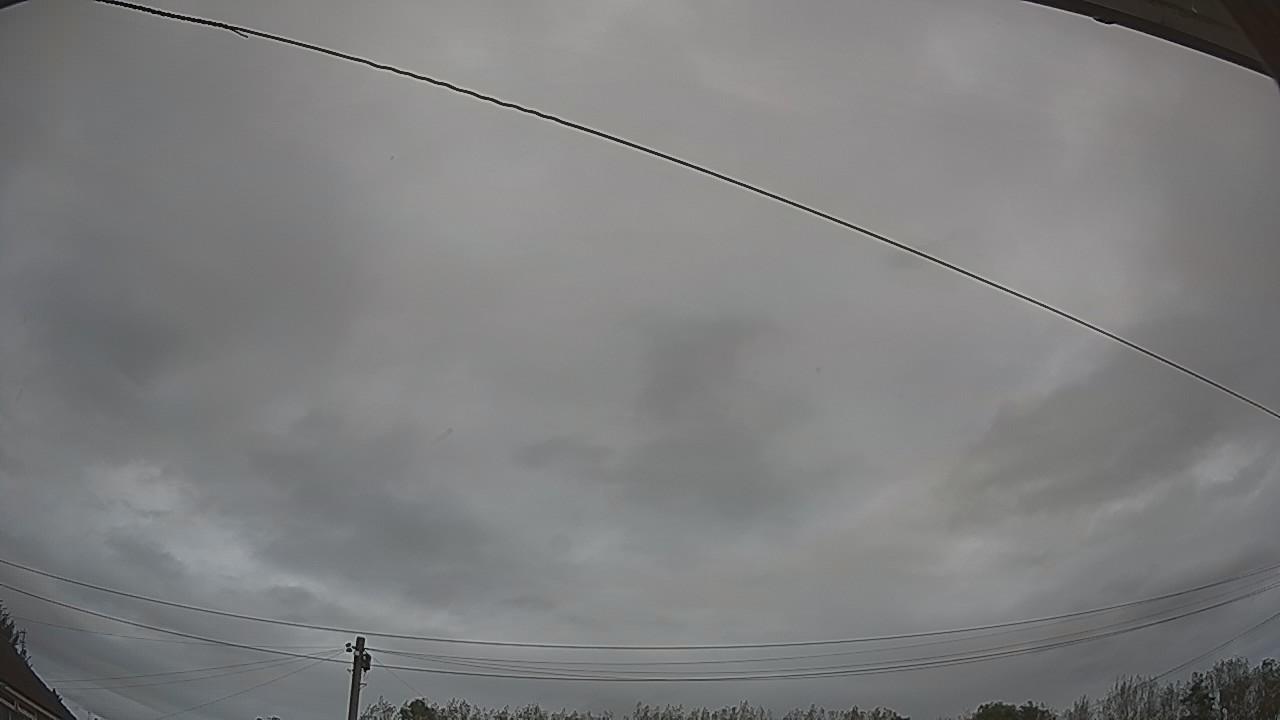 20261008_121720_cam2.jpg