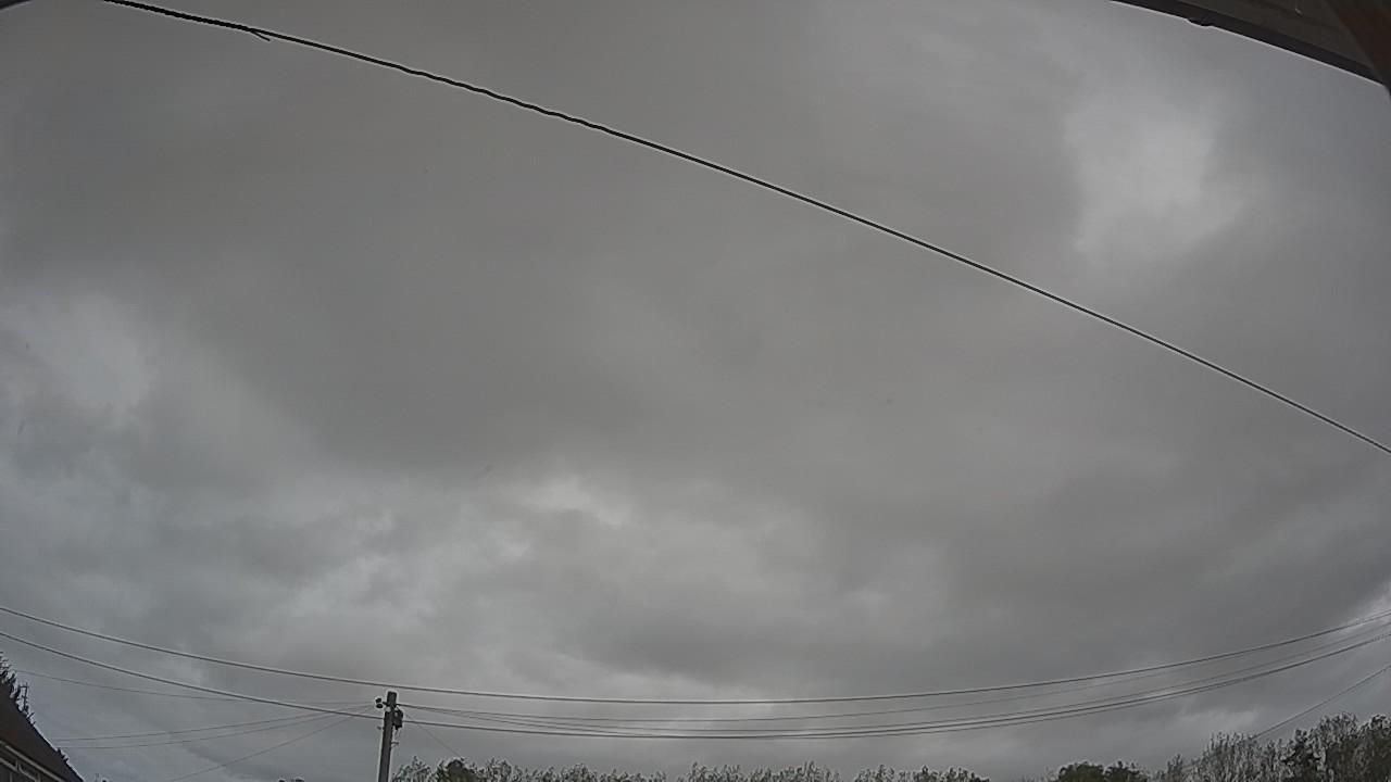 20261008_122504_cam2.jpg