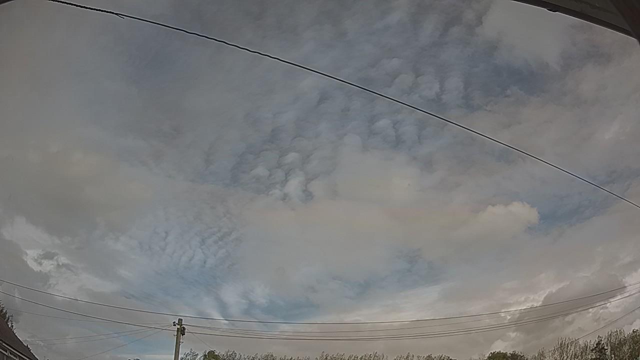 20261008_131954_cam2.jpg