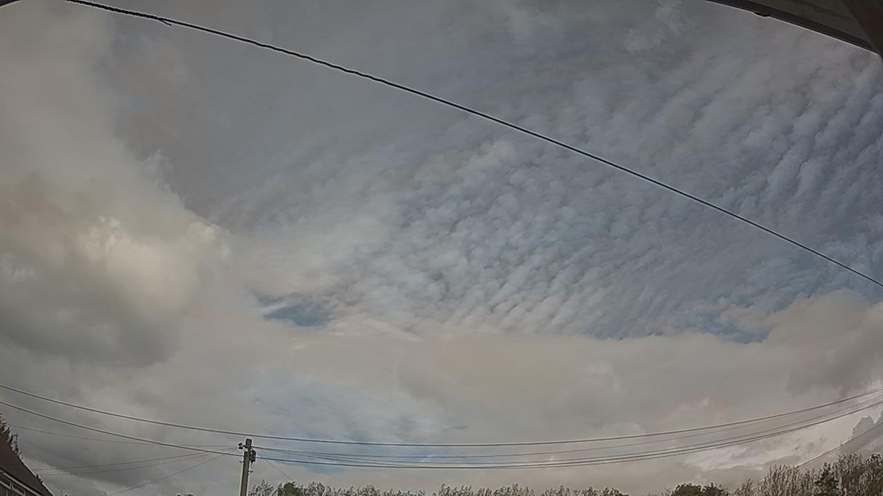 20261008_132354_cam2.jpg