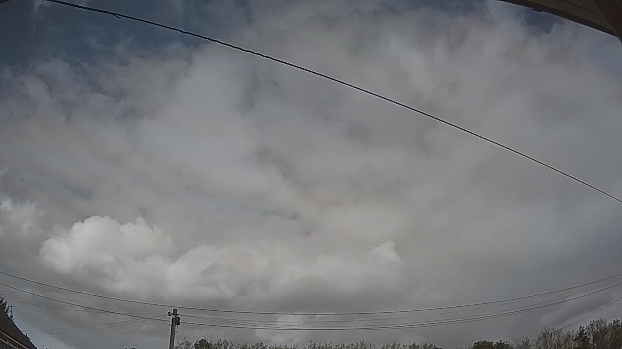 20261008_133952_cam2.jpg