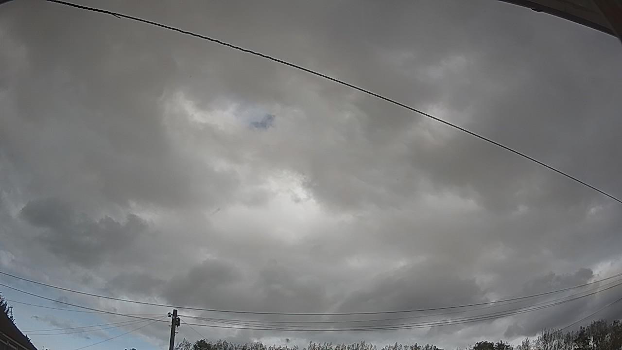20261008_140001_cam2.jpg