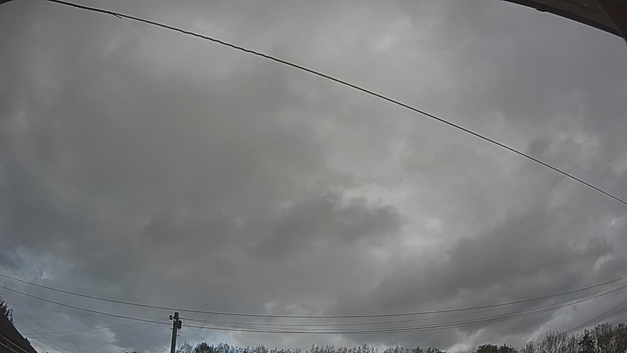 20261008_141228_cam2.jpg