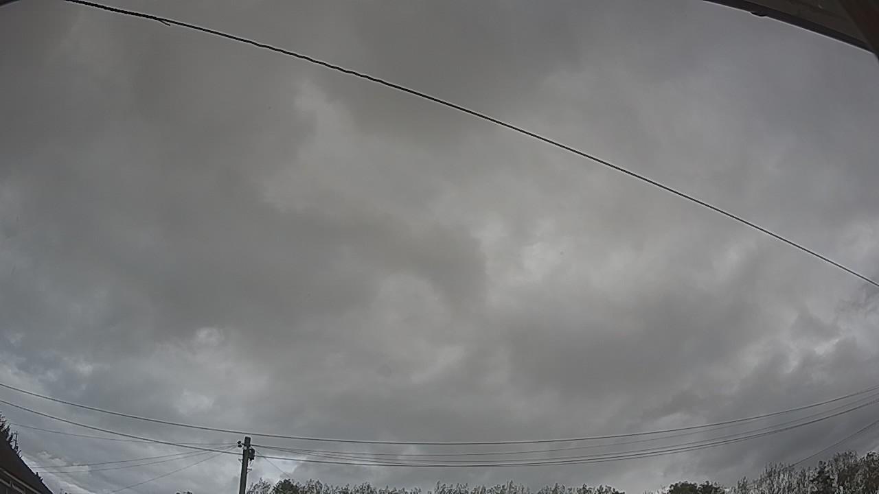 20261008_141637_cam2.jpg