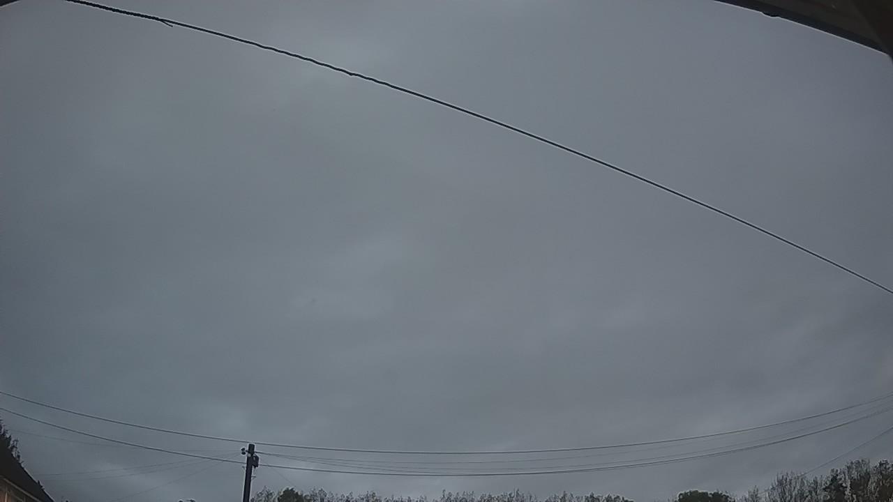 20261009_061100_cam2.jpg