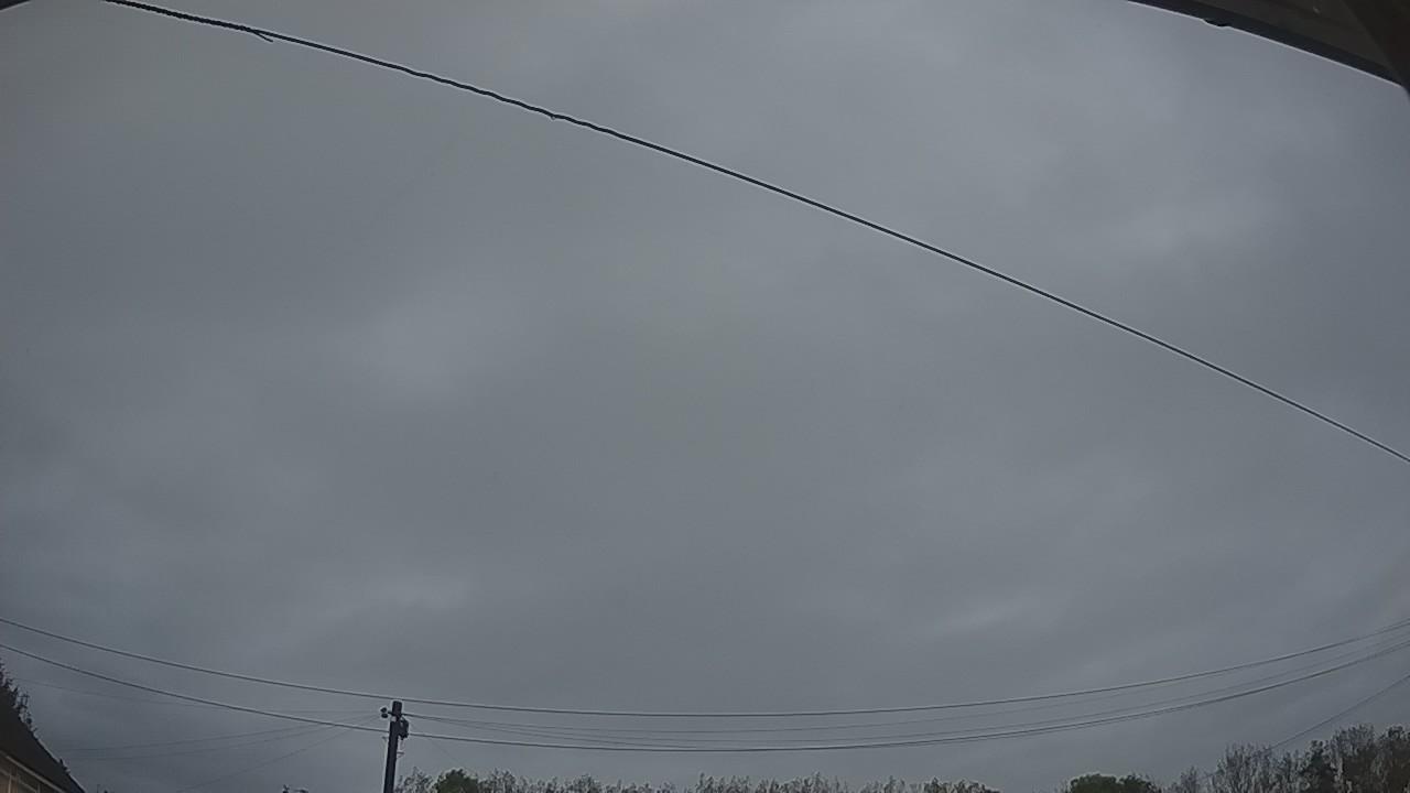 20261009_061452_cam2.jpg