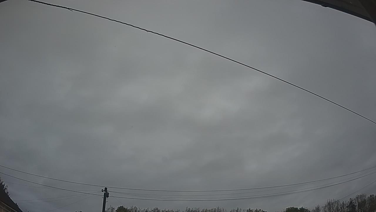 20261009_061843_cam2.jpg