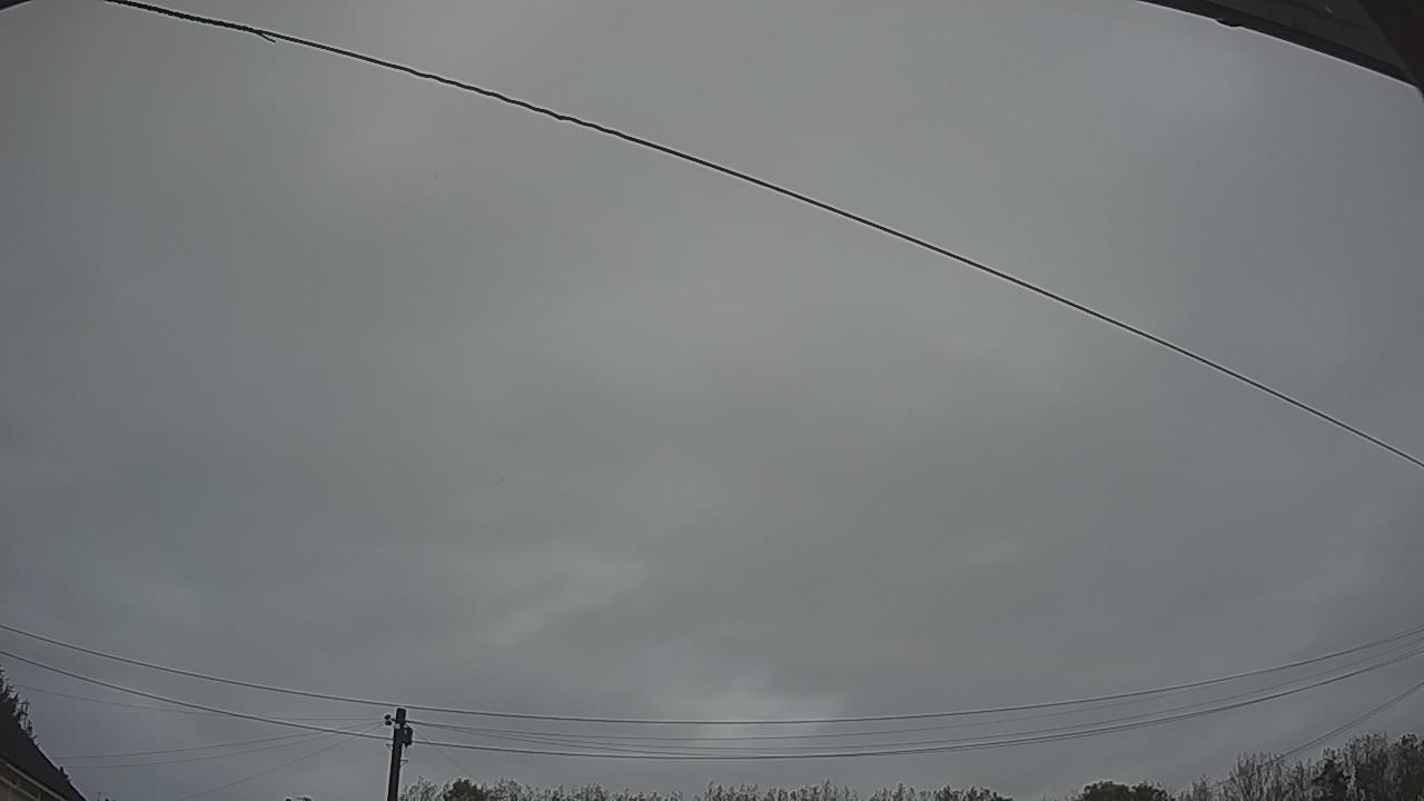 20261009_062235_cam2.jpg