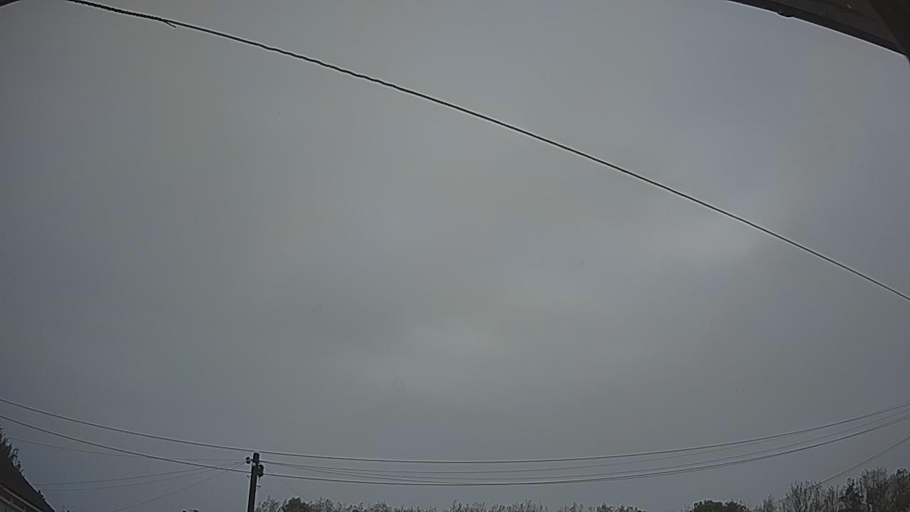 20261009_064458_cam2.jpg