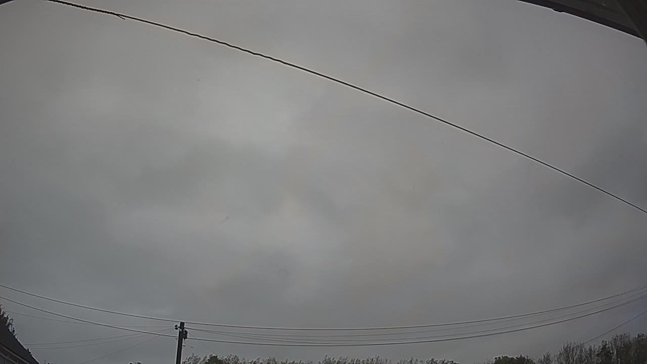 20261009_080100_cam2.jpg