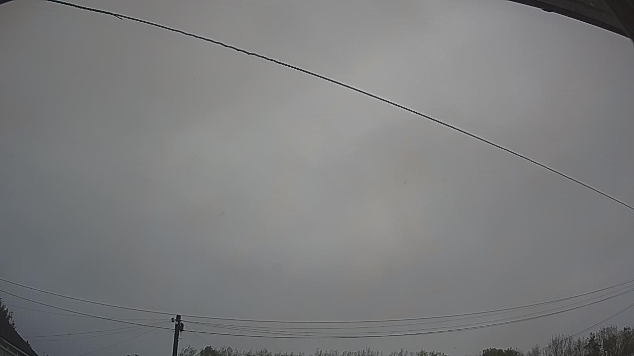 20261009_081842_cam2.jpg