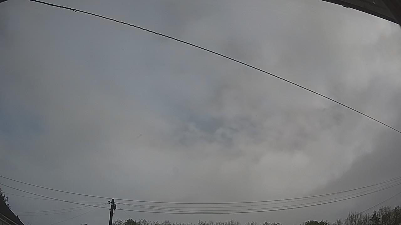 20261009_090459_cam2.jpg