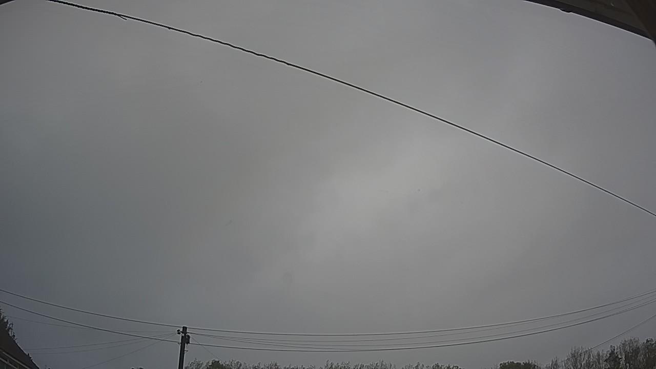 20261009_100937_cam2.jpg