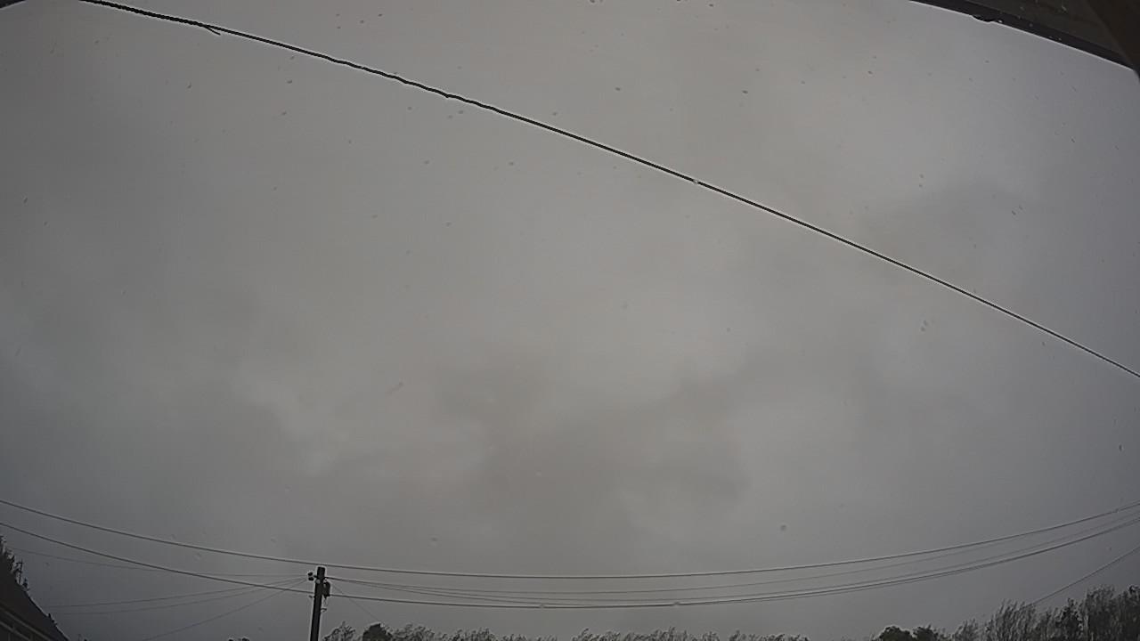 20261009_102625_cam2.jpg