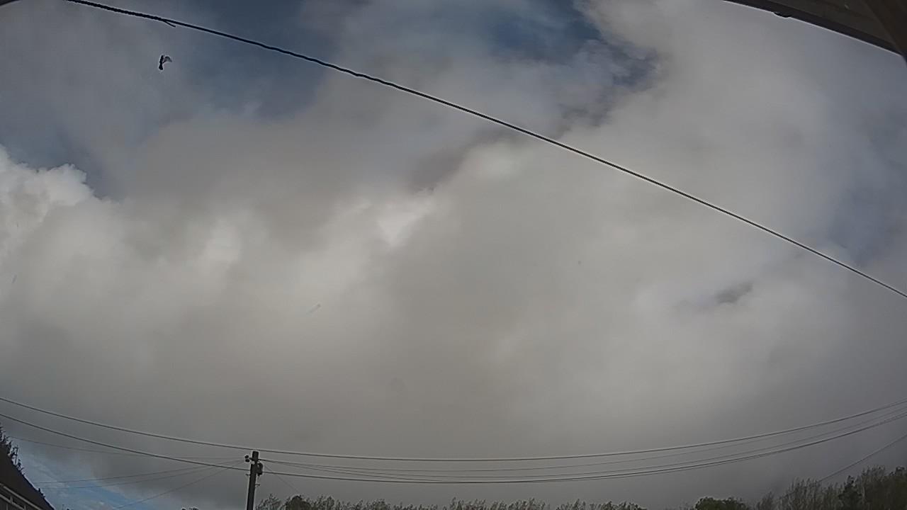 20261009_110108_cam2.jpg