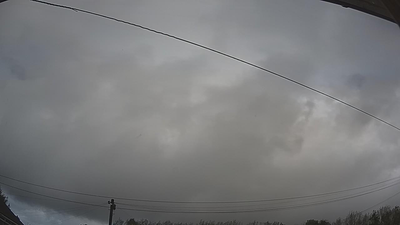 20261009_110413_cam2.jpg