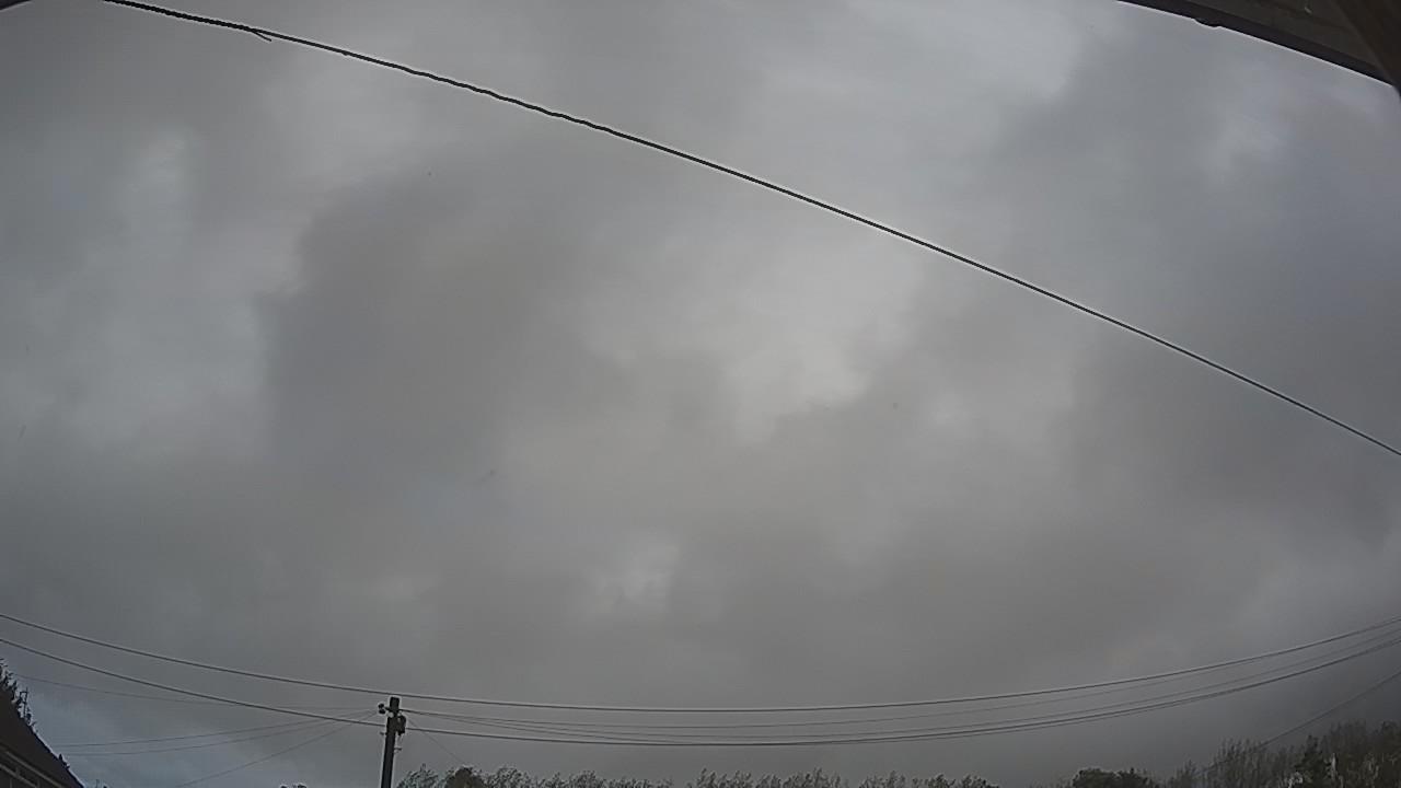 20261009_110719_cam2.jpg