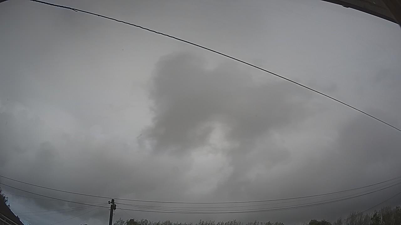 20261009_111024_cam2.jpg