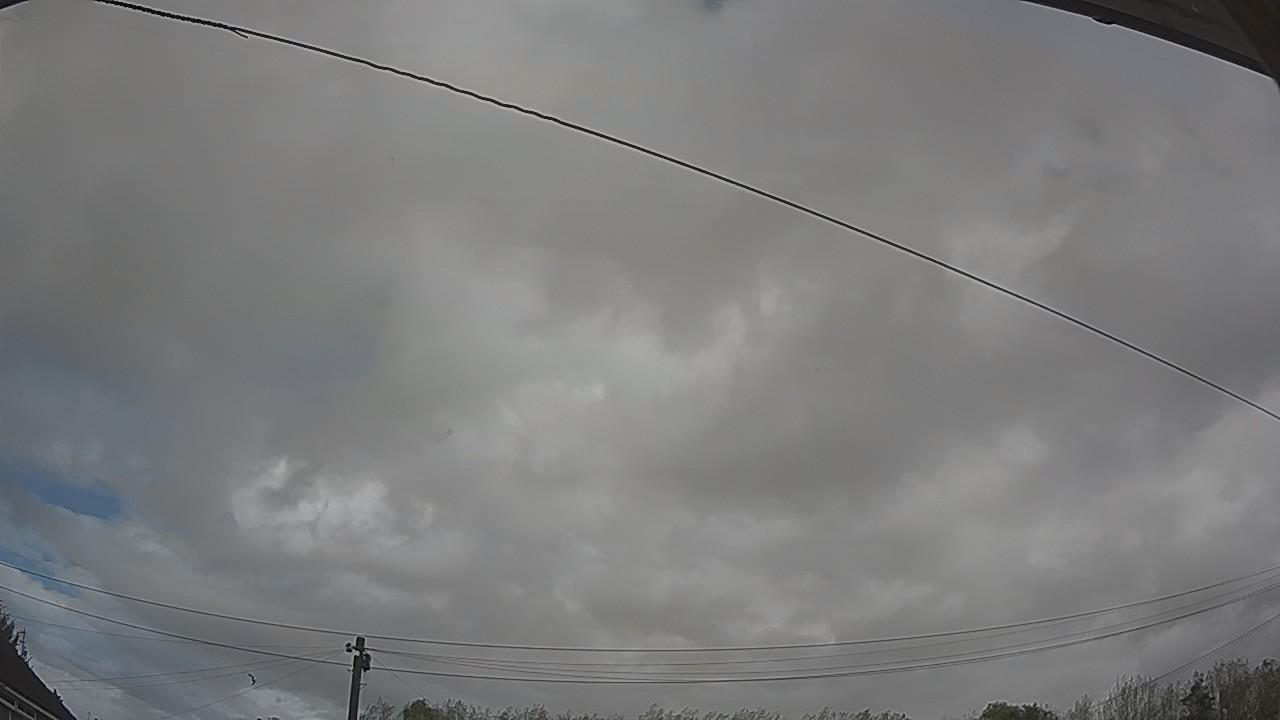 20261009_114623_cam2.jpg