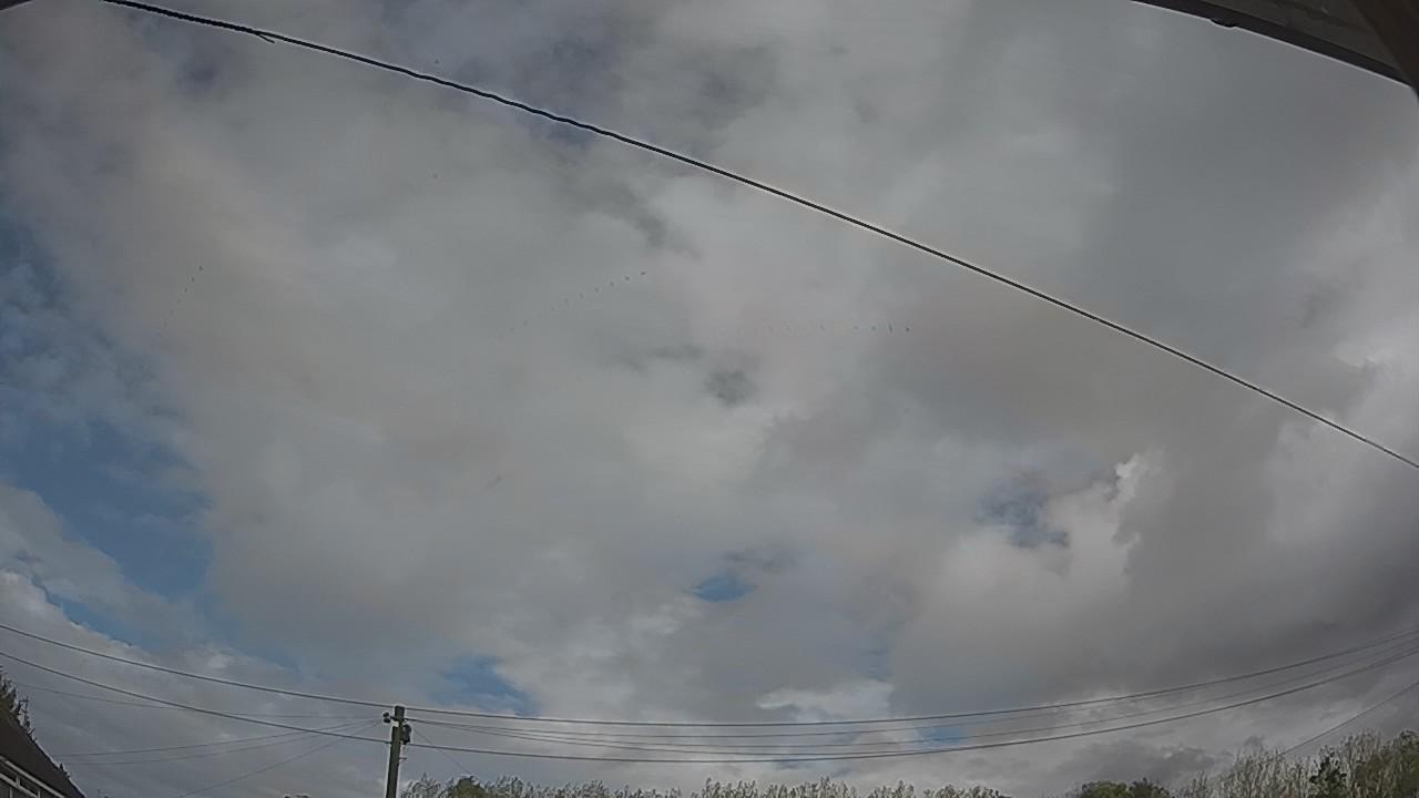20261009_115637_cam2.jpg