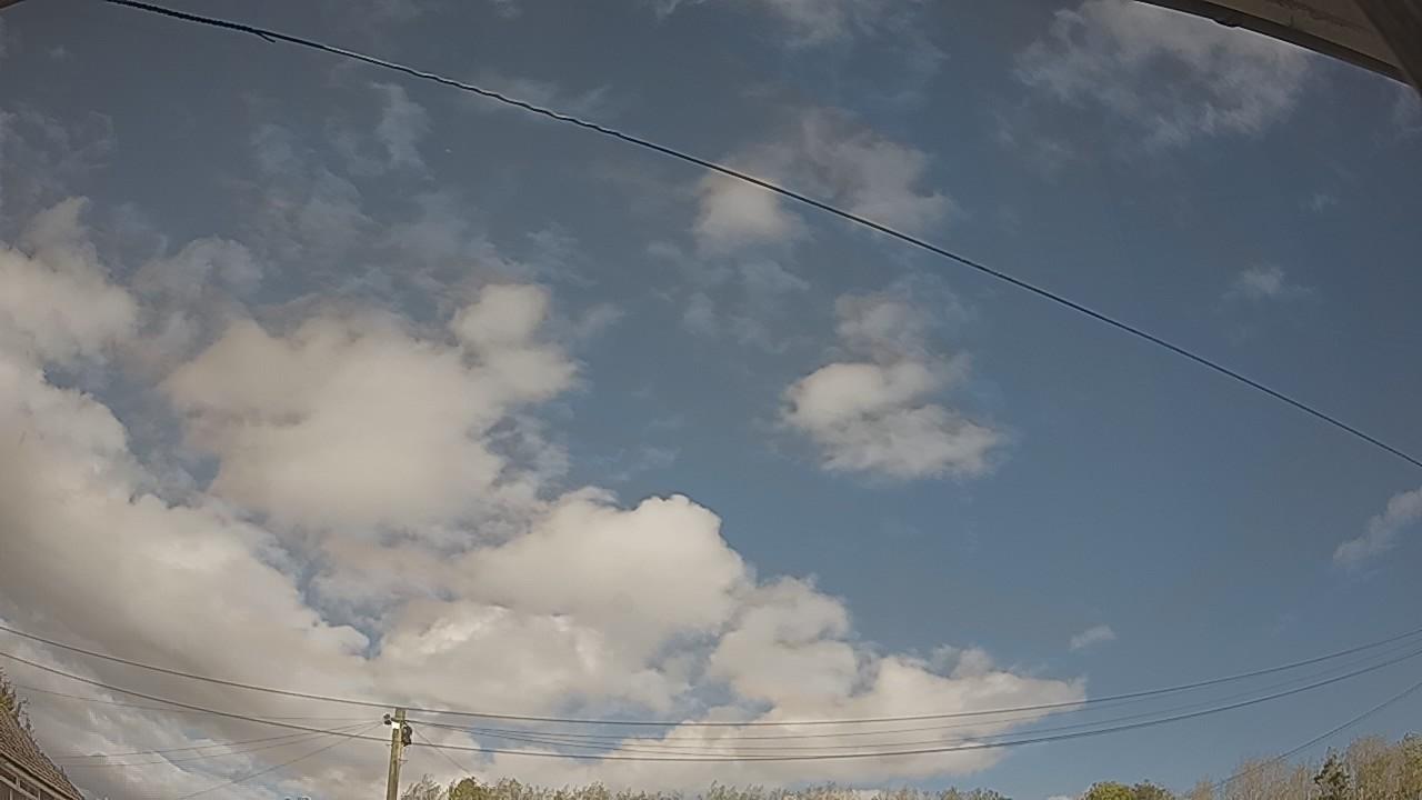 20261009_122939_cam2.jpg