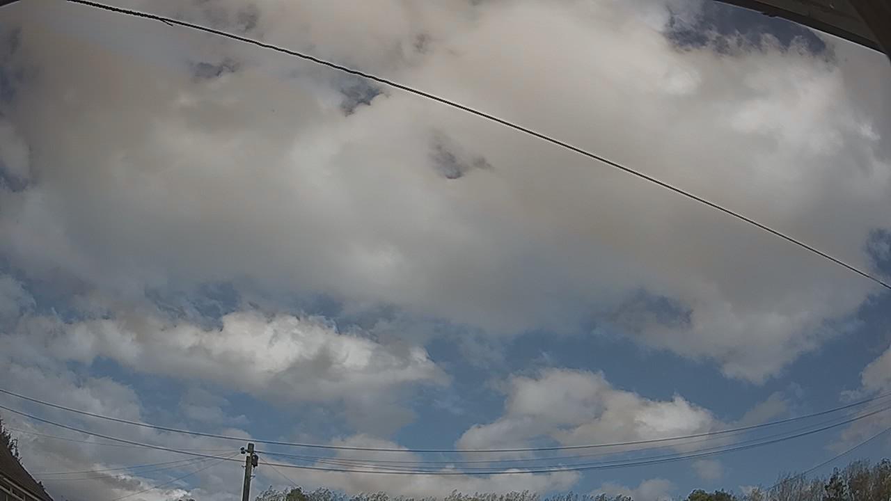 20261009_123936_cam2.jpg