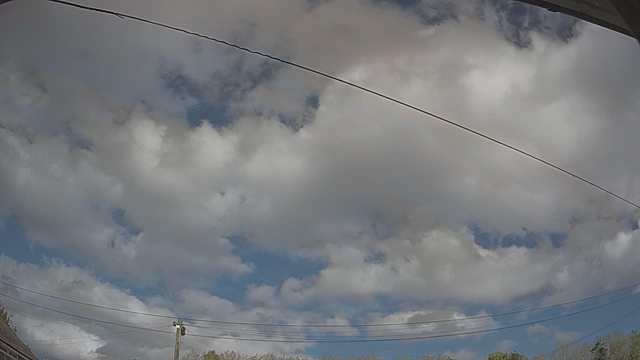 20261009_124206_cam2.jpg