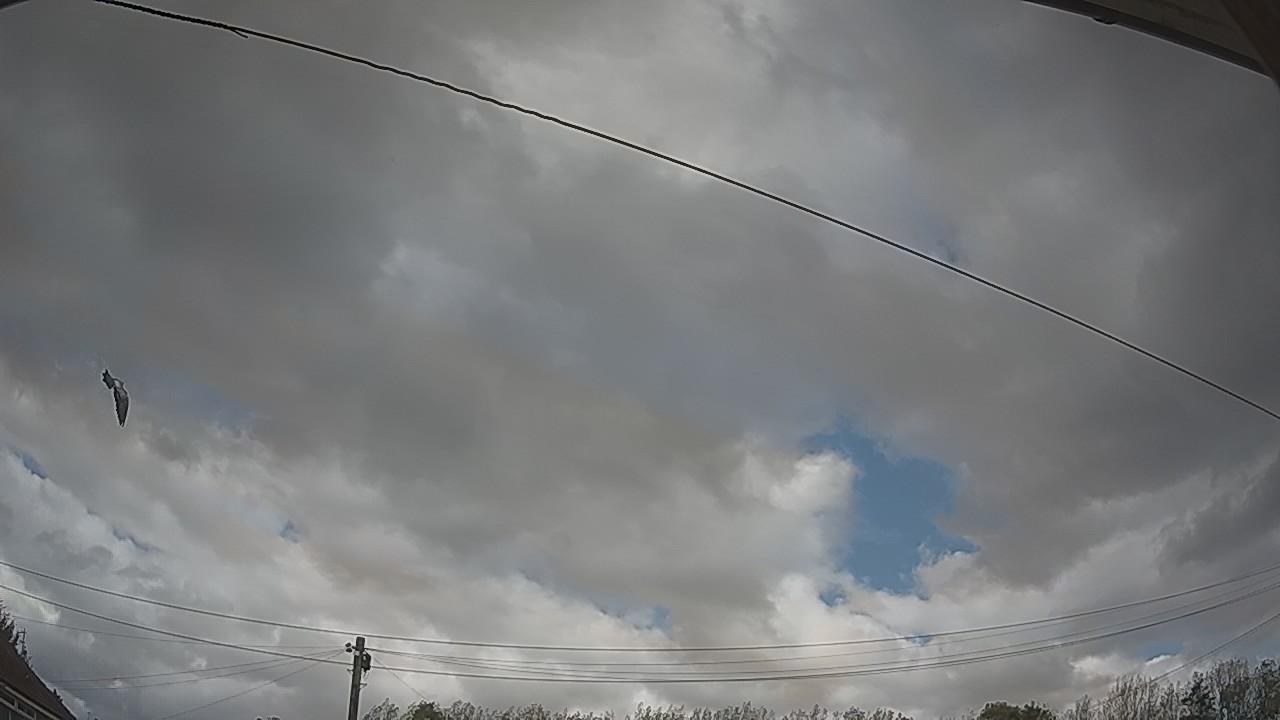 20261009_125722_cam2.jpg
