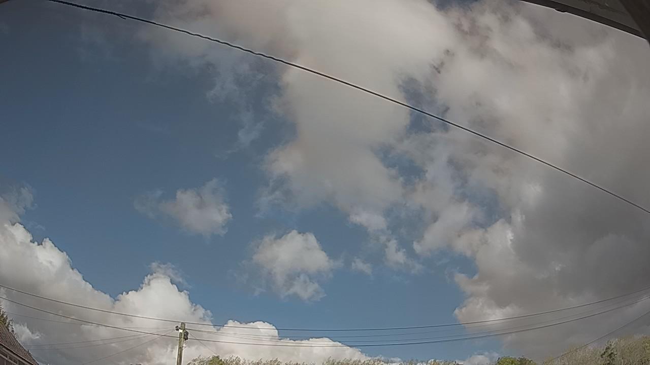 20261009_130544_cam2.jpg
