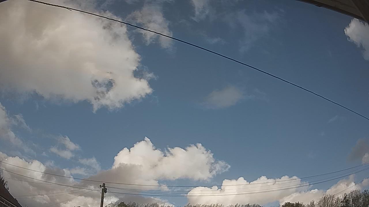 20261009_131656_cam2.jpg